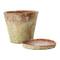 Hello Honey® Distressed Terracotta Cement Planter with Saucer Set